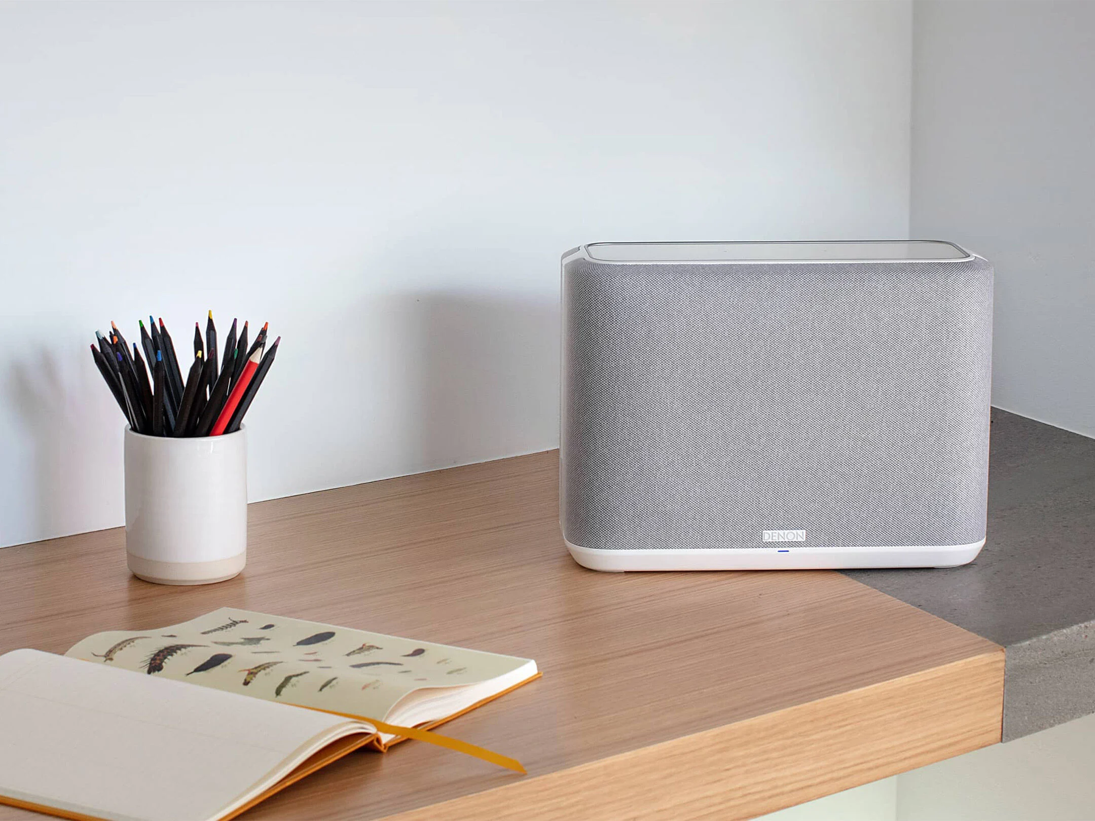 Denon Home 250 Kablosuz Akıllı Hoparlör