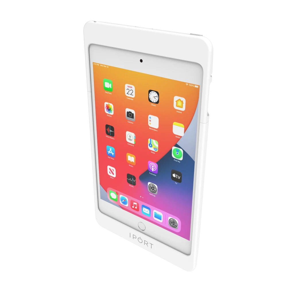 iPORT CONNECT PRO Case