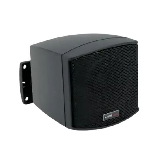 CINEMA 310 – Music Wall Mount Speaker (Duvar Tipi Fullrange Hoparlör)