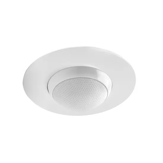 In ceiling adapter for ALCYONE satellite