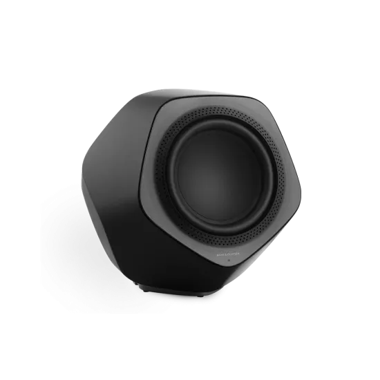 Beolab 19 Subwoofer