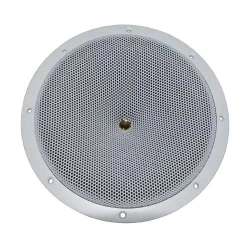 DC GOLD N9.5R 9.5’’2 ADET