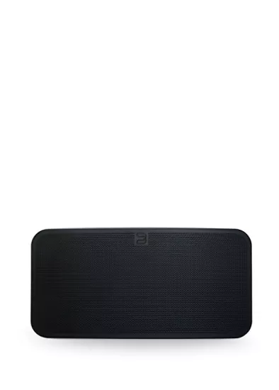 BLUESOUND PULSE MINI 2i