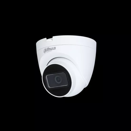 Dahua 2MP IR Eyeball Network Kamera