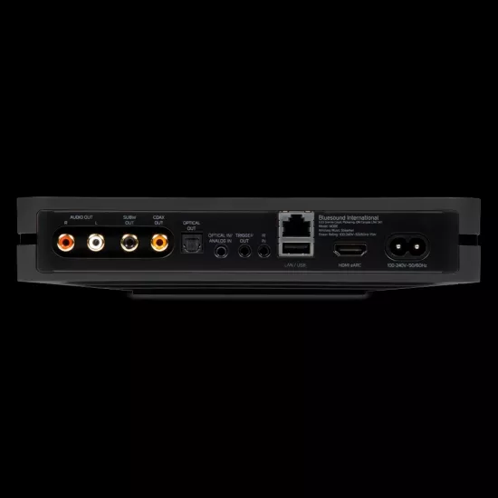 Bluesound NODE N130 - Marine Hoparlör