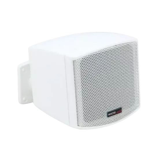 CINEMA 310 – Music Wall Mount Speaker (Duvar Tipi Fullrange Hoparlör)