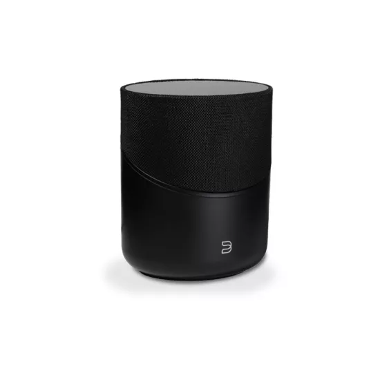 BLUESOUND PULSE M