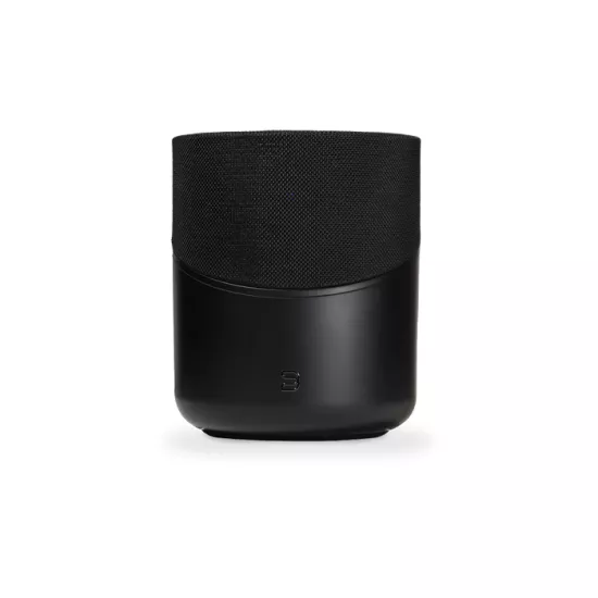 BLUESOUND PULSE M