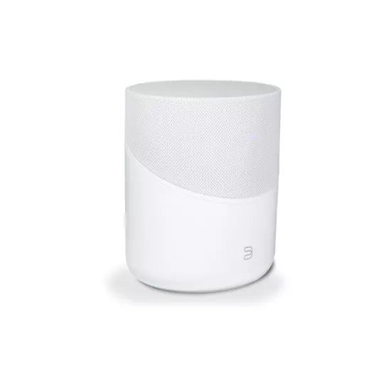 BLUESOUND PULSE M