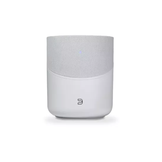 BLUESOUND PULSE M