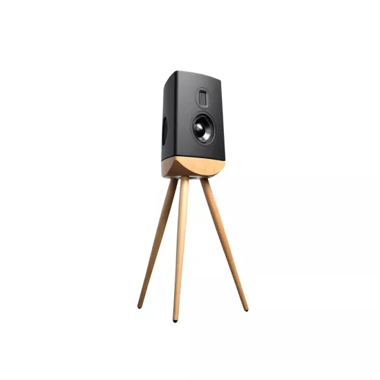 Cue-100 High-End Hoparlör
