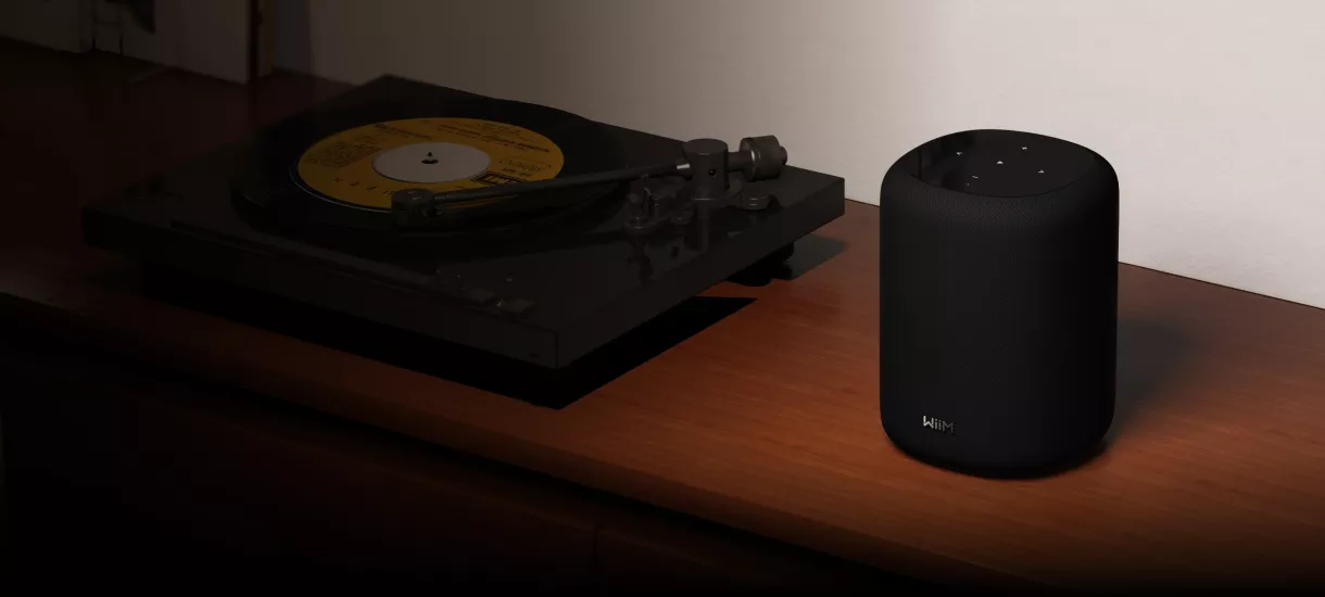 WIIM SOUND LITE Akıllı Kablosuz Hoparlör