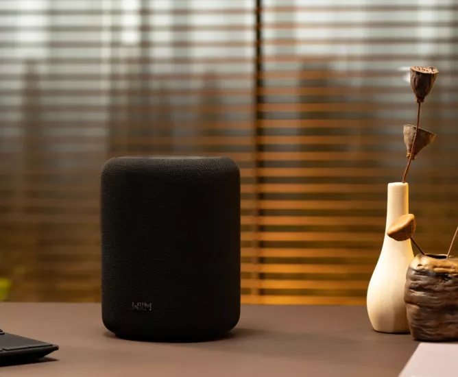 WIIM SOUND LITE Akıllı Kablosuz Hoparlör