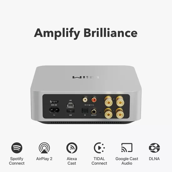 WİİM AMP Network Stereo Amplifikatör