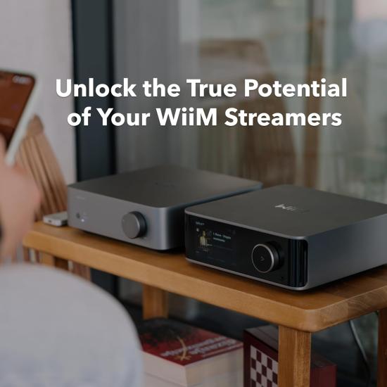 WiiM VIBELINK AMP POWER AMPLIFIKATOR