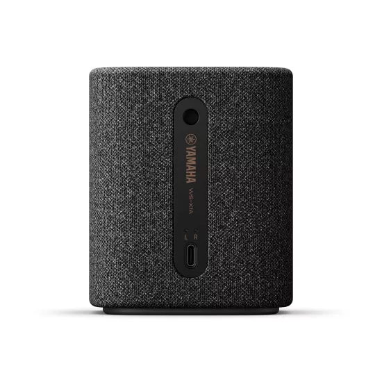 Yamaha True X Speaker 1A 