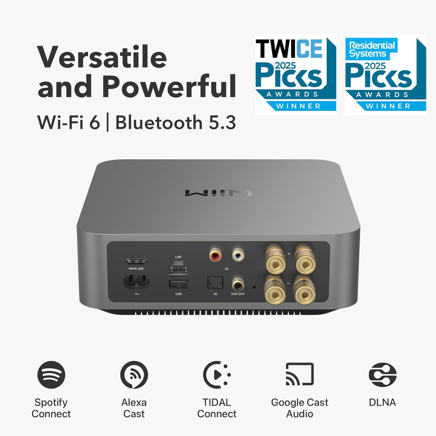 WIIM AMP PRO STREAMER AMPLIFIER - Marinehoparlor.com