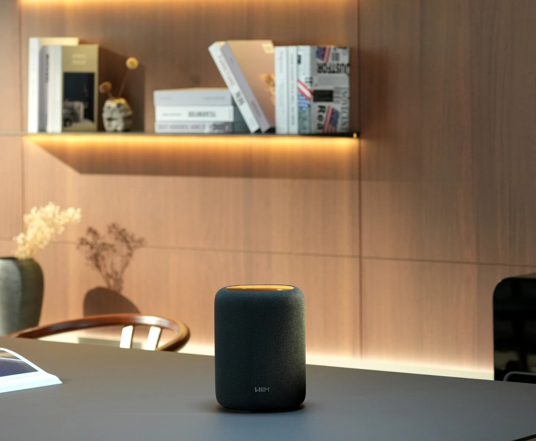 WIIM SOUND LITE Akıllı Kablosuz Hoparlör