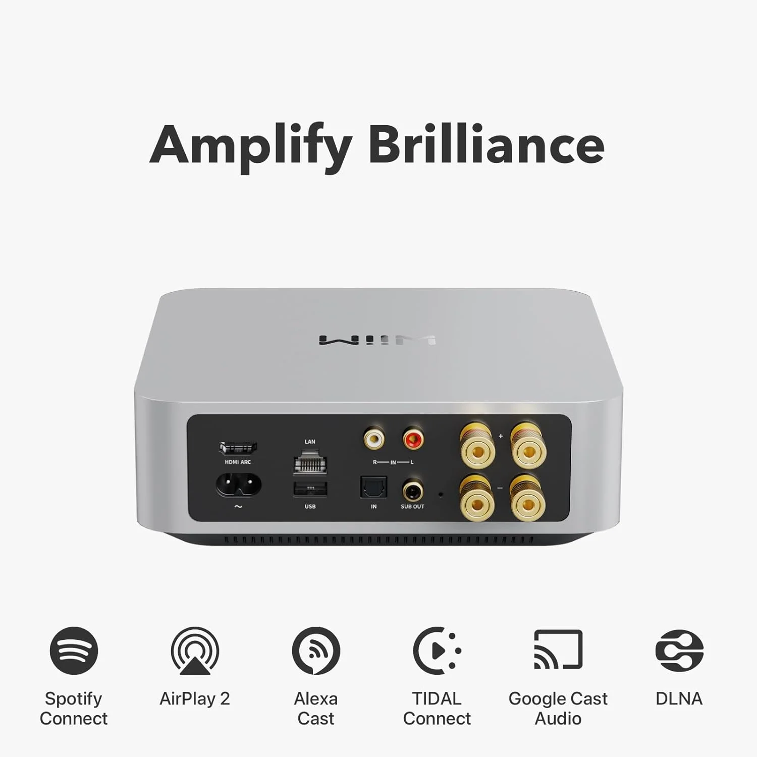 WİİM AMP Network Stereo Amplifikatör