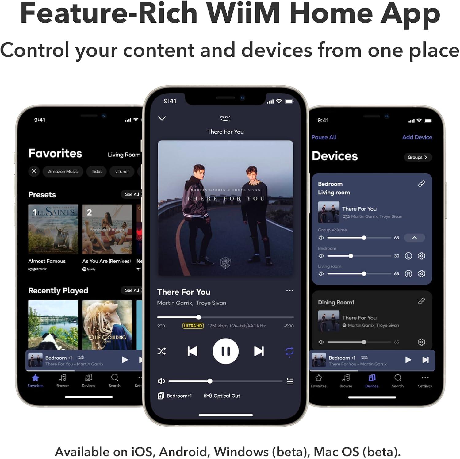 WiiM Pro Plus Network Streamer