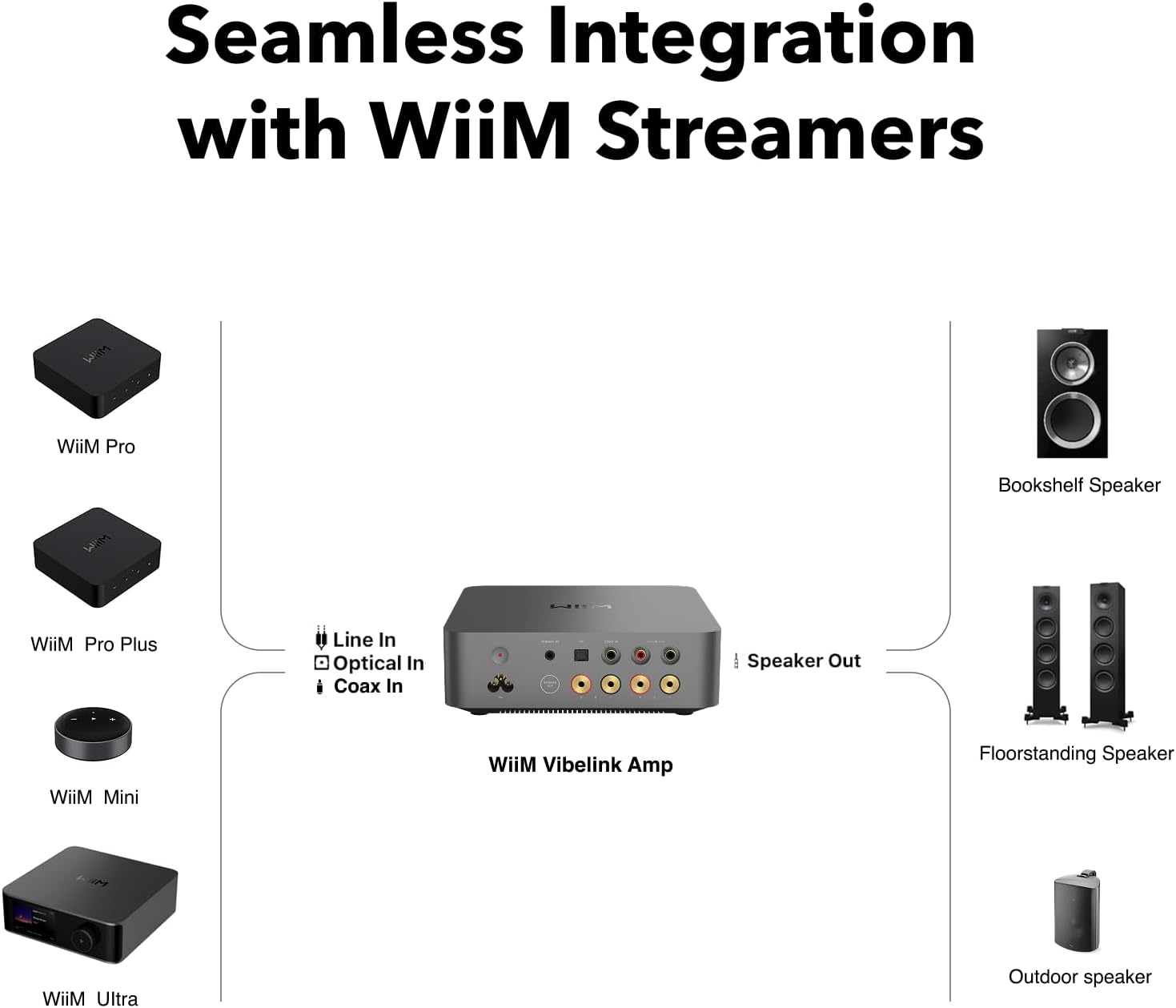 WiiM VIBELINK AMP POWER AMPLIFIKATOR